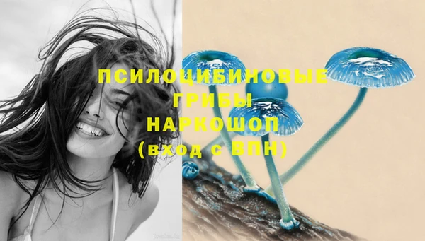 mdpv Зерноград
