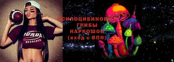 молекула духа Зеленодольск