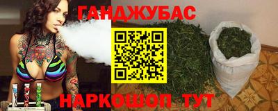 стаф Гай