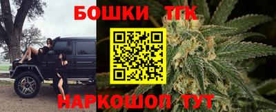 стаф Гай