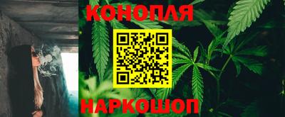 стаф Гай