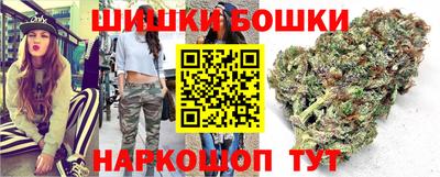 стаф Гай