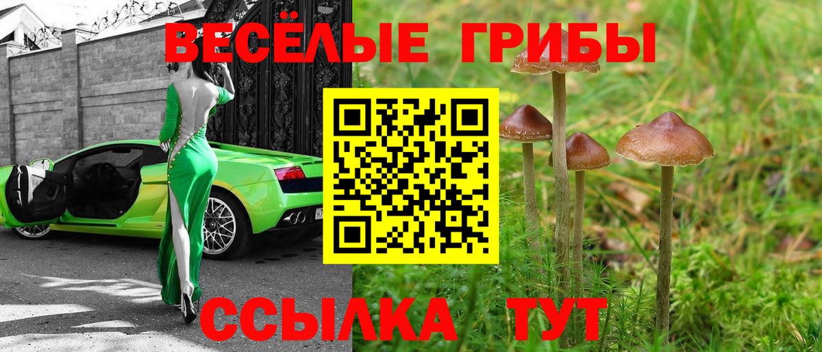 Галлюциногенные грибы GOLDEN TEACHER  Псилоцибиновые грибы ЛСД  Менделеевск  цена   Вход с VPN 